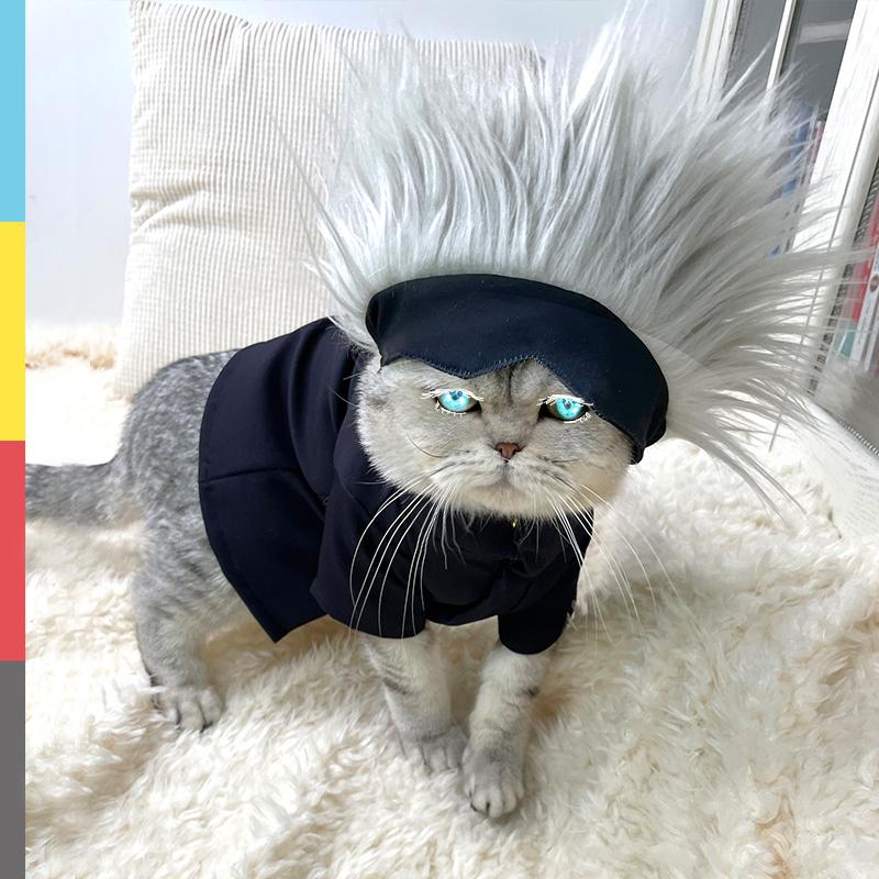 Jujutsu Kaisen Gojou Satoru Cat Costumer Headgear Glasses Cosplay